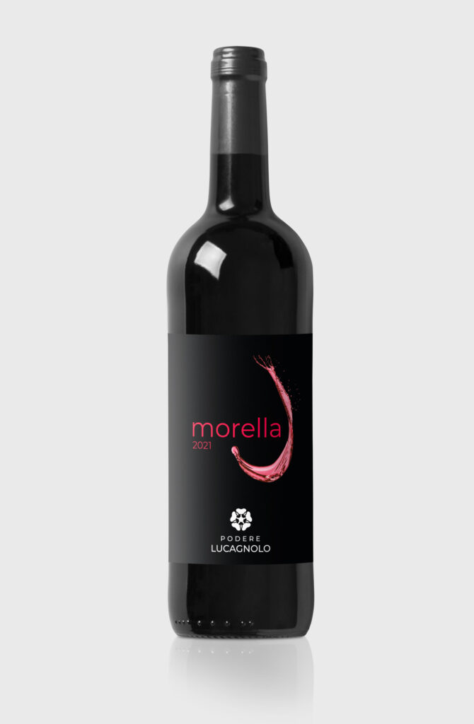 bottiglia-vino-morella