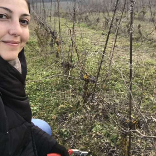 Linda nel vigneto del Podere Lucagnolo