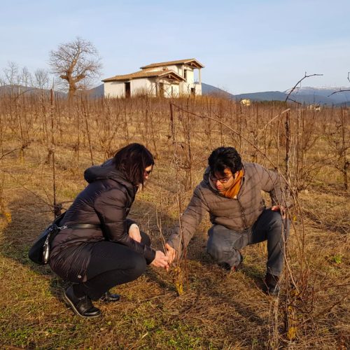 Linda e Niccolò nel vigneto del Podere Lucagnolo